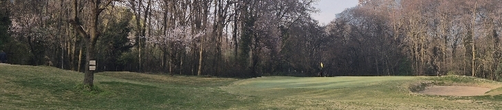 Cover Photo