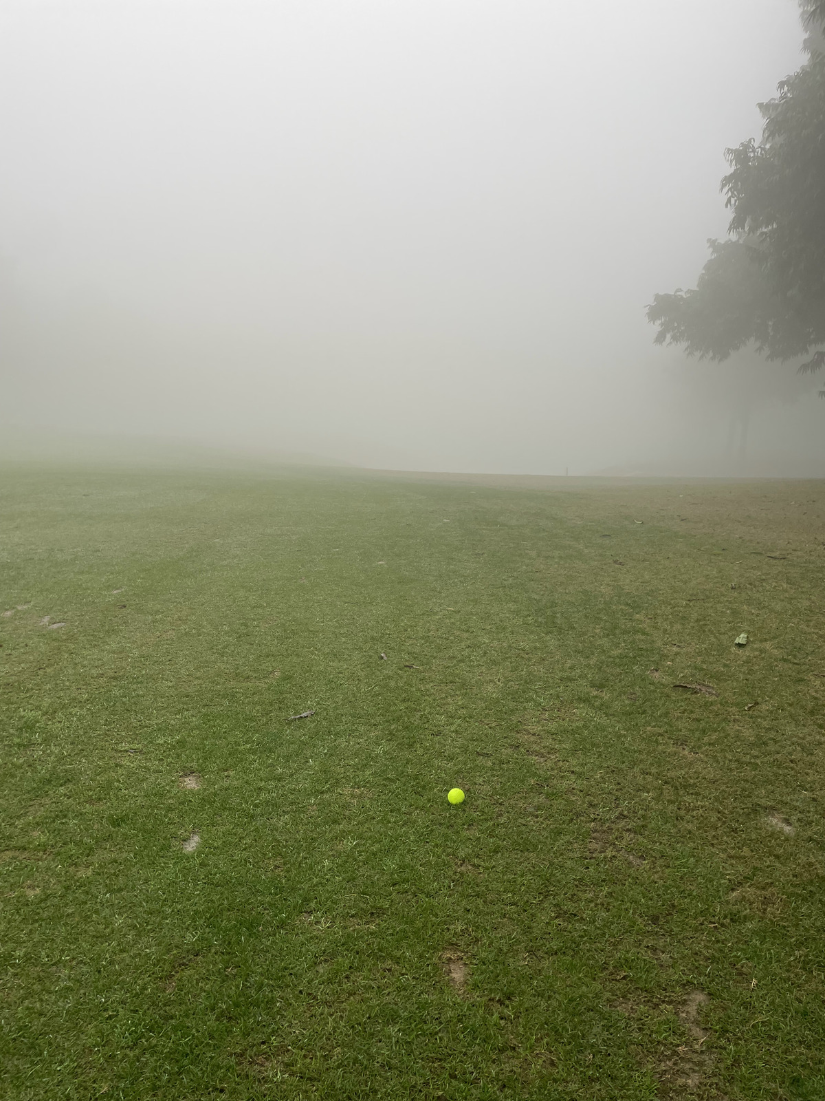 GIF* at Qutab in 7 degrees Centigrade!
* Golfing In Fog 🤓