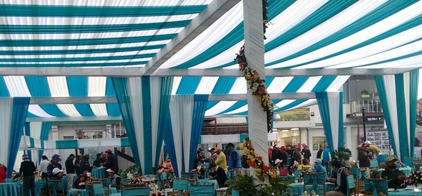 Gala gathering