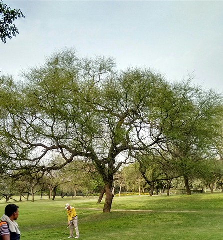 T-off at 11th Hole