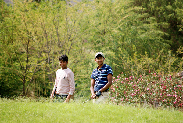 Golden Greens in full bloom