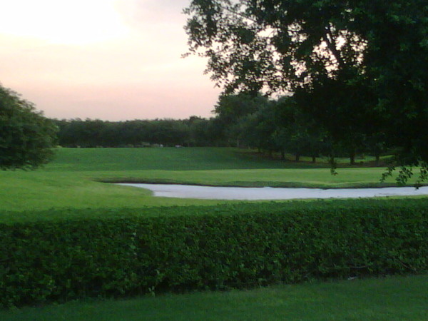 Setting for Evening Dream