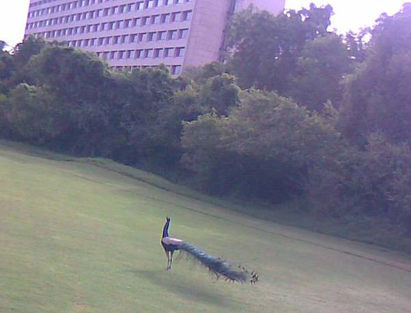 Early in the morning at DGC