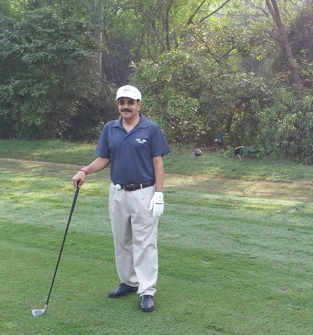 SAIL SBI - notice the peacocks at the back