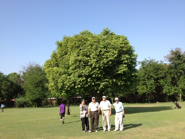 On 3rd Hole Fairway of LGC