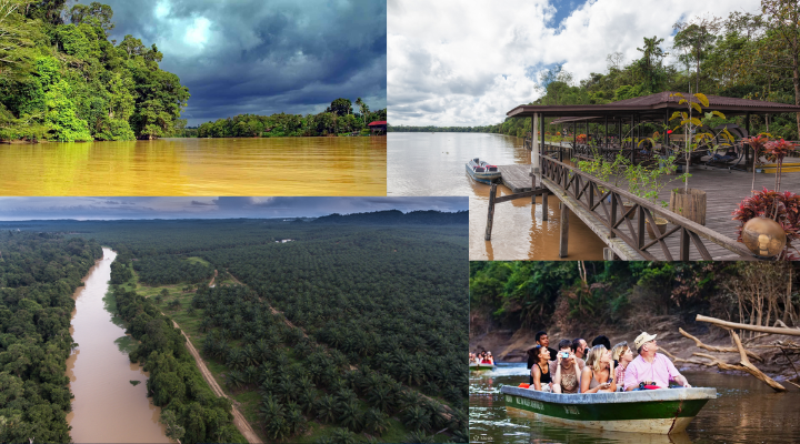 Kinabatangan River malaysia. Read more on 4moles.com