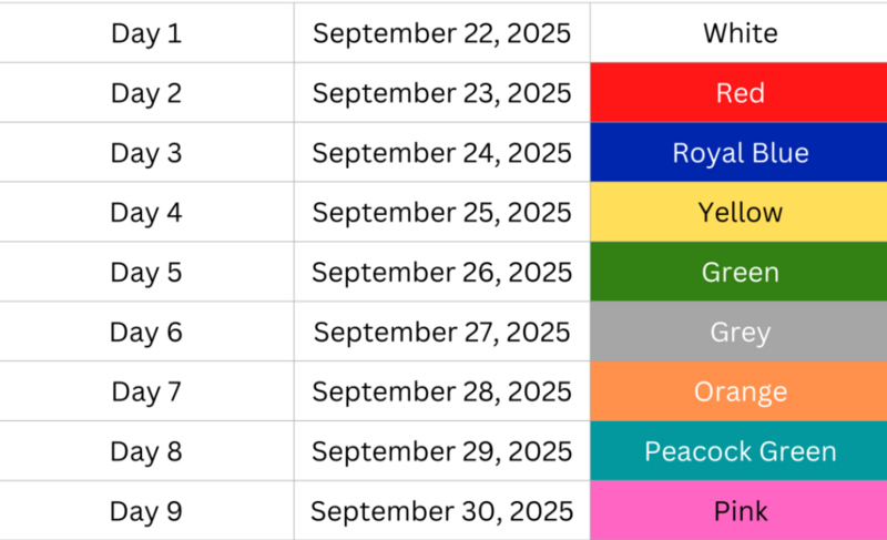 navratri colour infographic chart