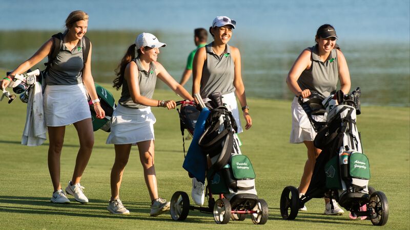 A group of young professionals playing golf